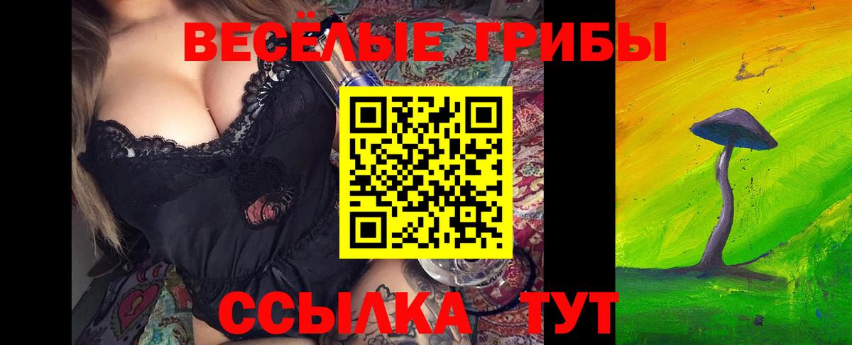 Галлюциногенные грибы GOLDEN TEACHER  Псилоцибиновые грибы ЛСД  Вход с VPN  Дзержинск 